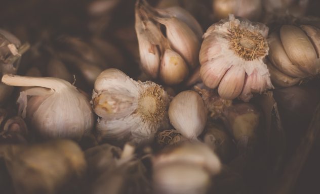anton-darius-thesollers-125486-unsplash